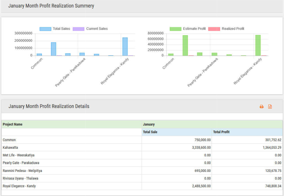 Profit Realization Summery